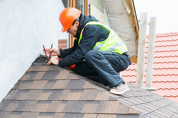 Best Roof Gutter Cleaning  in Ellsworth, ME